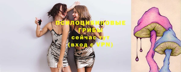 тгк Майский