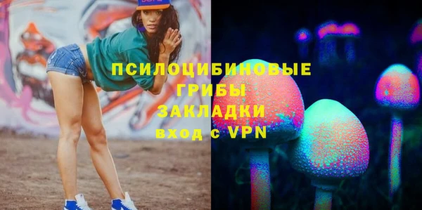 первитин Медвежьегорск
